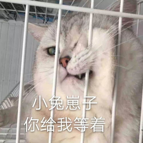 张庭做微商纳税21亿,她做微商带全家绝食喝油,这些女星是蠢是坏