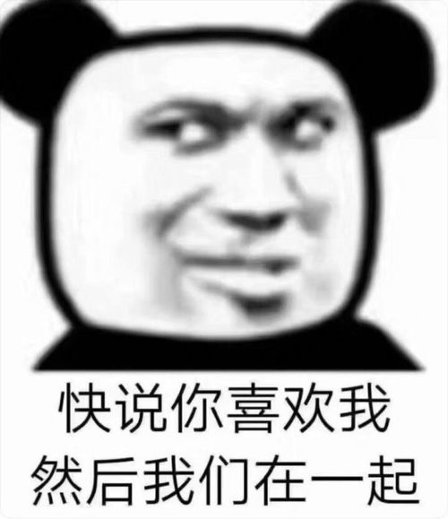 超级有趣的沙雕文案推荐3.0