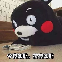 你复习吧,我放假了