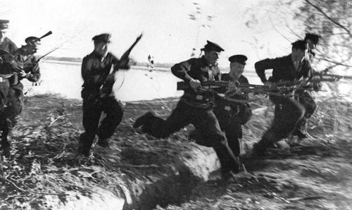 红海军最爱的单兵武器一般人玩不转stv40半自动步枪小史