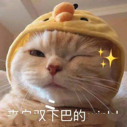 州庆放4天,你准备哪点耍