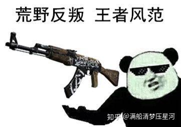 有什么csgo皮肤表情包啊