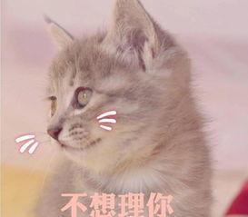 幽默笑话不开不开俺不开,妈妈没回来,回来也不开