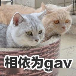 这剧,嗑不嗑就看你们的了