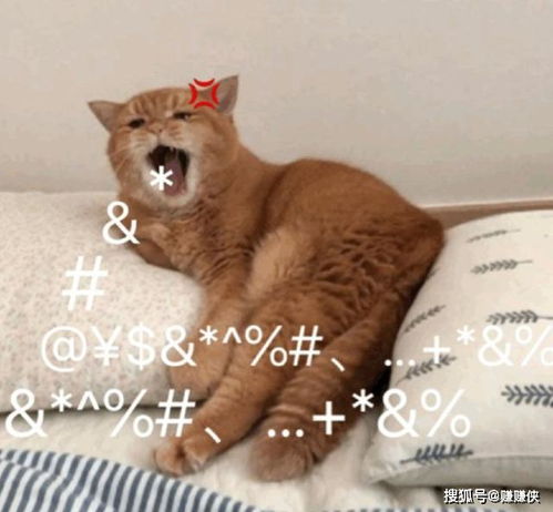 熬夜表情包低调,我才是真正的熬夜冠军