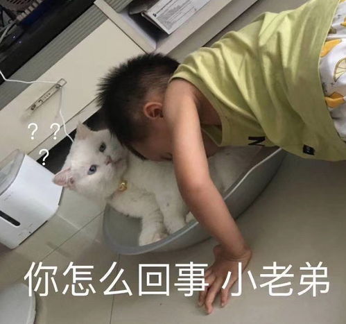 开心一刻笑话带女儿去超市,女儿看见一个芭比娃娃,哭着要买