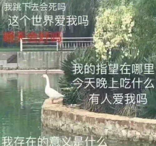 有哪些句子是一看就很沙雕搞笑的