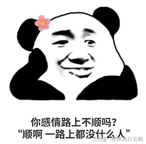 搞笑聊天表情包i你不要逼我