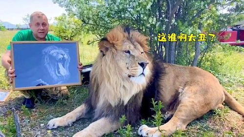 雄狮第一次看自己的照片,满脸嫌弃的样子太搞笑,狮子太难看