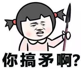 堆糖,美好生活研究所