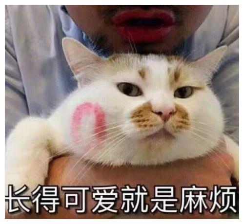搞笑段子爸爸正在和妈妈说单位里不公的事