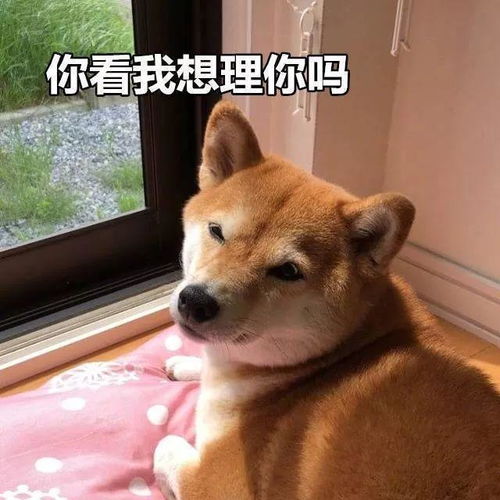 沙雕表情包大家好,我是佩奇,这是我的弟弟乔治
