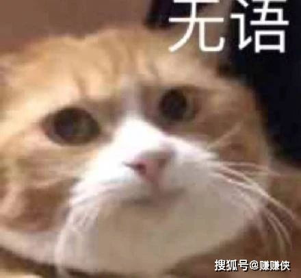 搞笑表情包轻蔑一笑