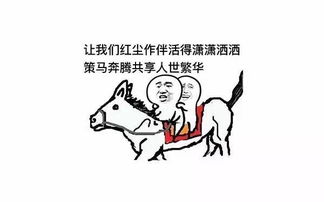 歌词表情包搞笑图片歌词