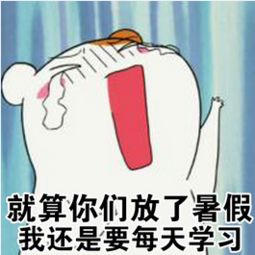 仓鼠管家暑假我要学习表情图关于暑假好好学习表情包搞笑版