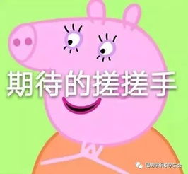 新学期,投稿开始啦
