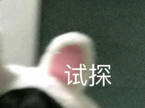 表情包丨挂了,晚安喔