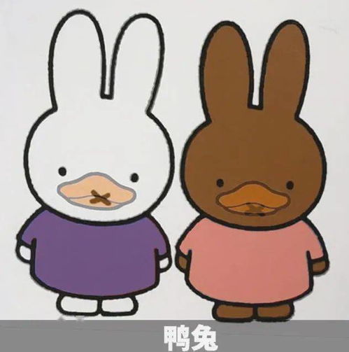 就tm离谱广美教授苦思20年,只为抄袭米菲兔