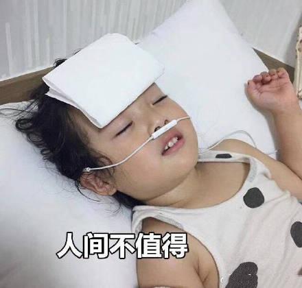 搞笑斗图表情包碗上好,兄弟萌