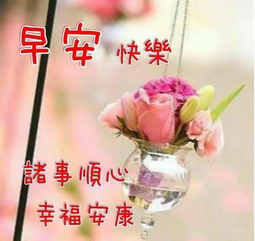 特别漂亮的早上好图片带字动态表情,清晨问候早上好祝福短信语录