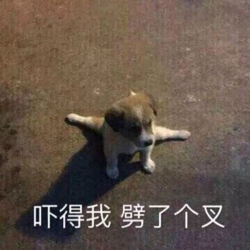 六岁熊孩子把商场烧了,只因为觉得好玩监控还原真相