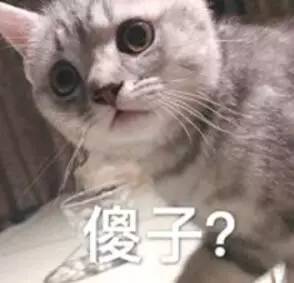 吴京被逼捐,周立波被诈捐,键盘侠这次又来道德绑架了