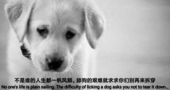 这公司仗着游戏好玩,就把中国玩家当猴耍老玩家怒刷steam差评