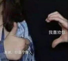表情包丨我说以后不再熬夜,狗都觉得好笑