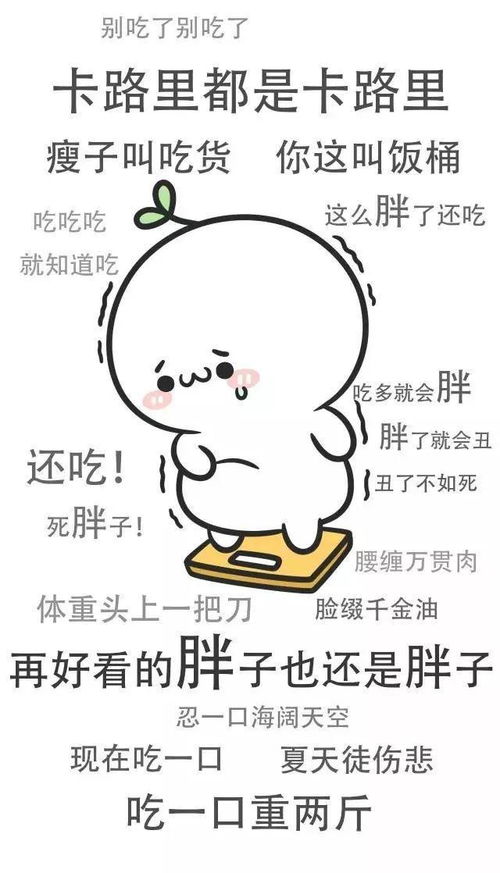 我的收藏夹