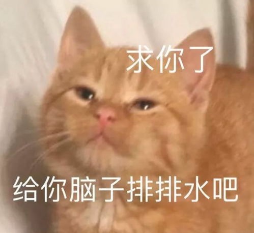 搞笑表情包你会不会忽然的出现