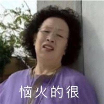 搞笑一家人罗文姬女士的可爱表情2021超级有意义的搞笑表情包