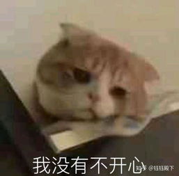 如何瘦咬肌因为下颌鼓出来两坨太难看了,有没有什么方法瘦下去