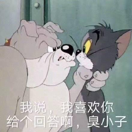 更新爆笑沙雕表情包怼我,就是暗恋我
