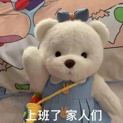 真是脸都不要了