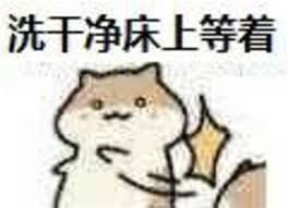 你有哪些又污又可爱的表情包