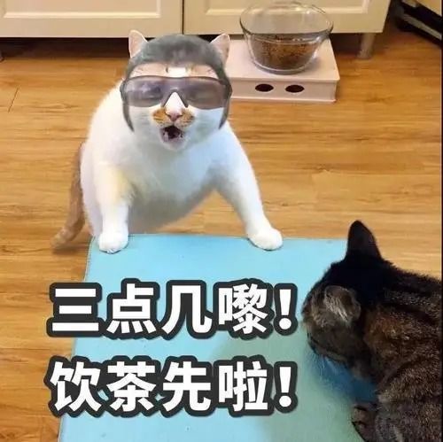 只花91块,我发现了喜茶千万私域营收的秘密