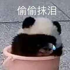 睡觉表情包搞笑名表