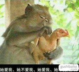 失恋中的复杂心情