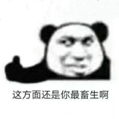 抖音热门表情包大年三十我只想被一个男孩带上我的照片发朋友圈