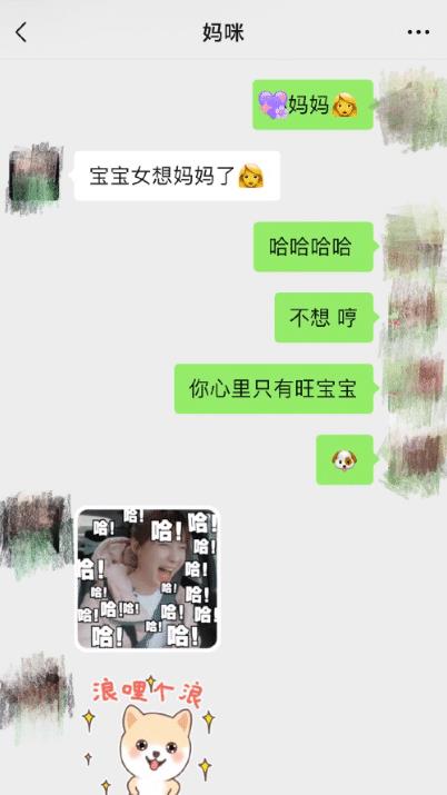 沈梦辰晒与妈妈的聊天记录,母女俩用海涛表情包斗图,太搞笑了吧