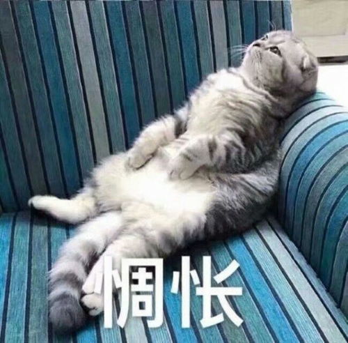 小别胜新婚的效果,可以厉害到什么程度