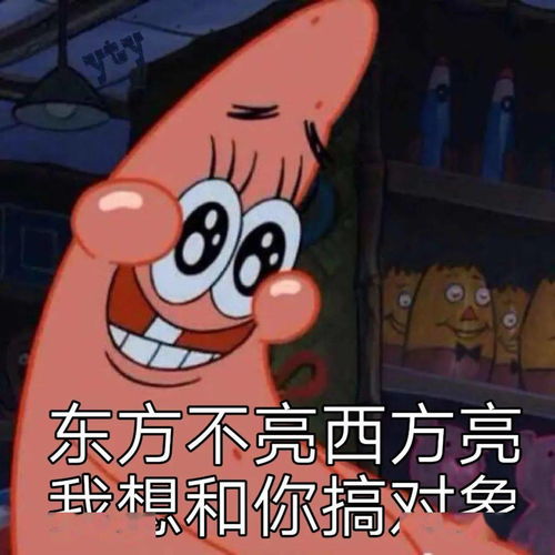 每日精选沙雕表情包