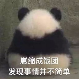 31大升温大雨大降温,厦门天气将要大变脸