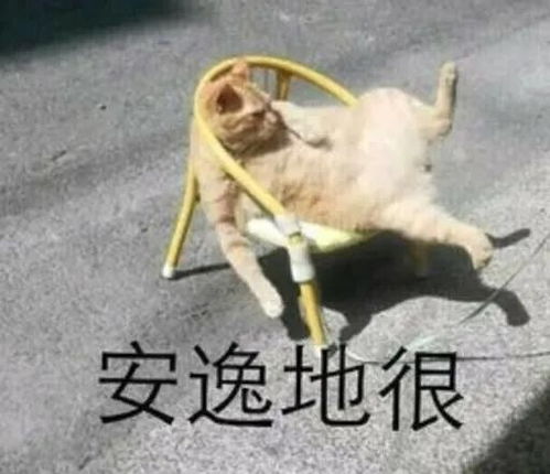 未来城