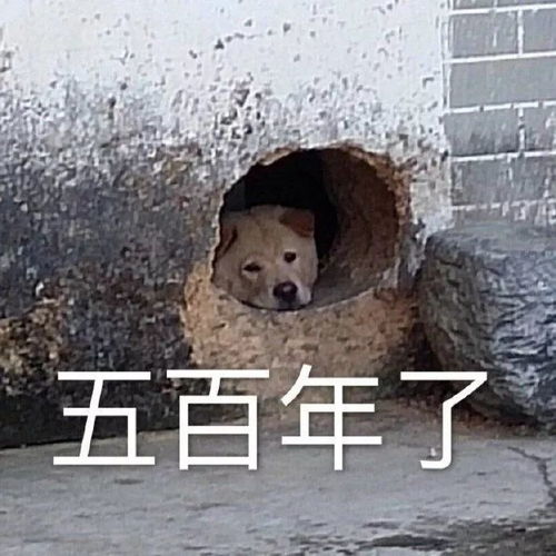 今天的朋友圈,仿佛当年贴吧求种...
