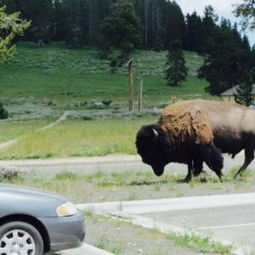黄石国家公园黄石湖攻略,黄石湖yellowstonelake门票游玩攻略地址图片门票价格