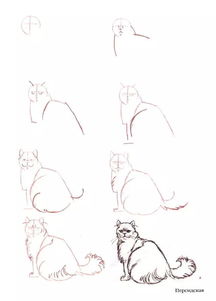 可爱猫头像画法卡通绘画