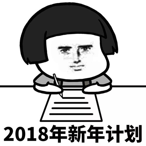 表情丨我的2018新年计划是这样的