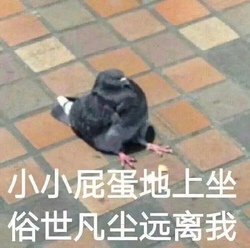 少女的表情包仓库上新啦