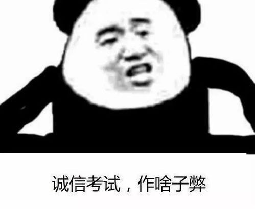 搞笑表情包熊猫头发薪